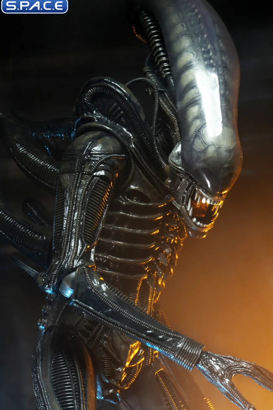 1/4 Scale Big Chap Alien