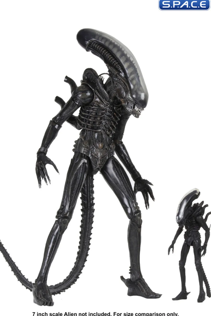 1/4 Scale Big Chap Alien