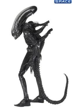 1/4 Scale Big Chap Alien