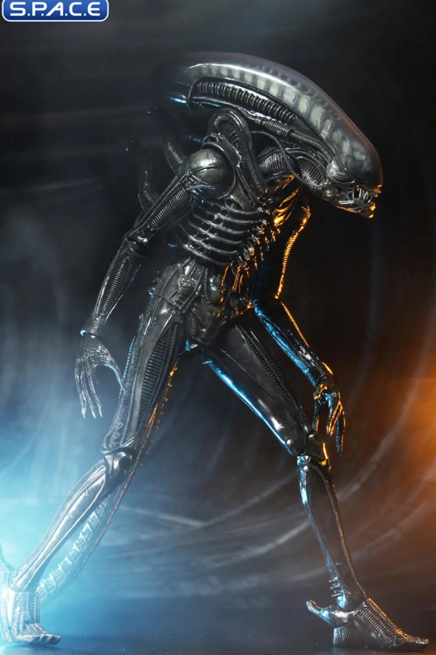 1/4 Scale Big Chap Alien