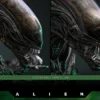 1/6 Scale Big Chap Alien Movie Masterpiece MMS826