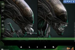 1/6 Scale Big Chap Alien Movie Masterpiece MMS826