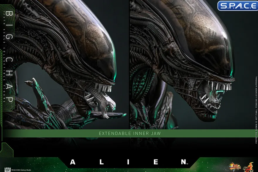 1/6 Scale Big Chap Alien Movie Masterpiece MMS826
