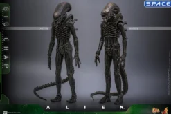 1/6 Scale Big Chap Alien Movie Masterpiece MMS826