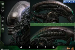 1/6 Scale Big Chap Alien Movie Masterpiece MMS826