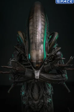 1/6 Scale Big Chap Alien Movie Masterpiece MMS826