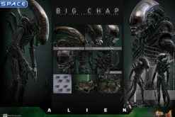 1/6 Scale Big Chap Alien Movie Masterpiece MMS826