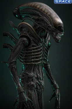 1/6 Scale Big Chap Alien Movie Masterpiece MMS826