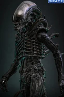 1/6 Scale Big Chap Alien Movie Masterpiece MMS826