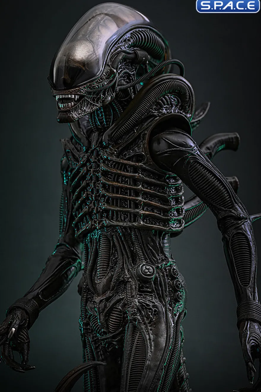 1/6 Scale Big Chap Alien Movie Masterpiece MMS826