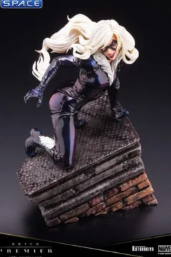 1/10 Scale Black Cat