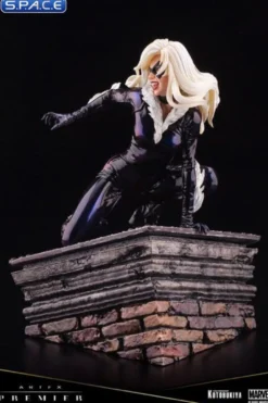 1/10 Scale Black Cat