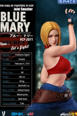1/6 Scale Blue Mary