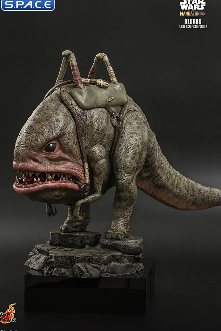 1/6 Scale Blurrg TV Masterpiece TMS045