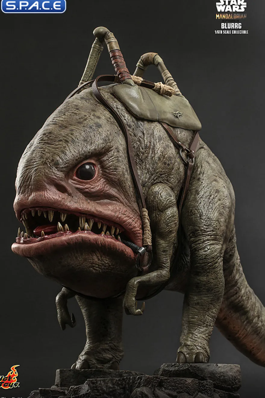 1/6 Scale Blurrg TV Masterpiece TMS045