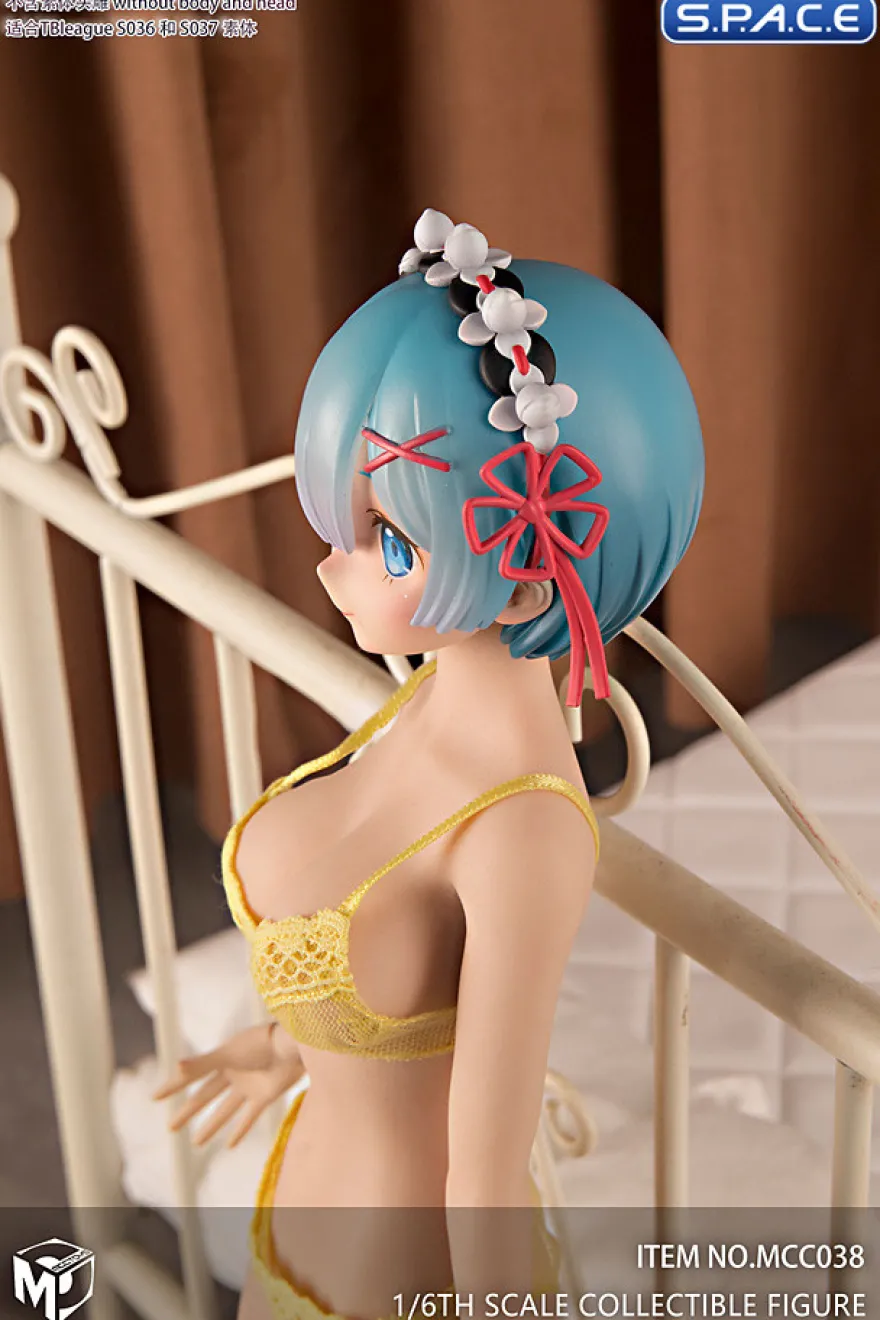 1/6 Scale Bra and Slip