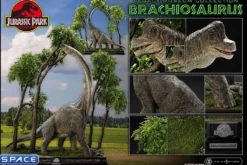 1/15 Scale Brachiosaurus Legacy Museum Collection Statue