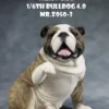 1/6 Scale Bulldog »giving a paw«