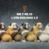 1/6 Scale Bulldog »giving a paw«