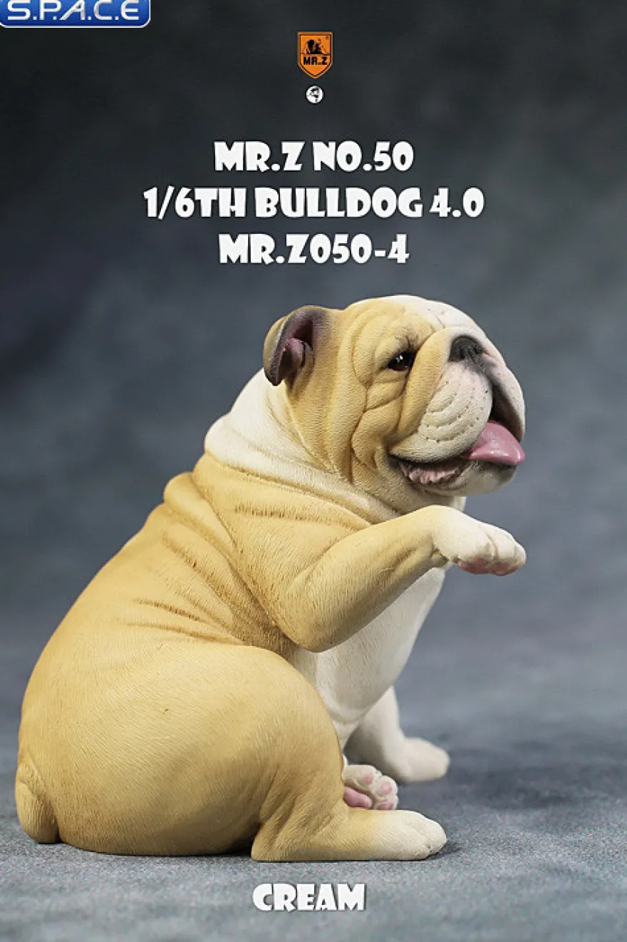 1/6 Scale Bulldog »giving a paw«