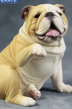 1/6 Scale Bulldog »giving a paw«