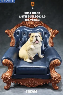 1/6 Scale Bulldog »giving a paw«