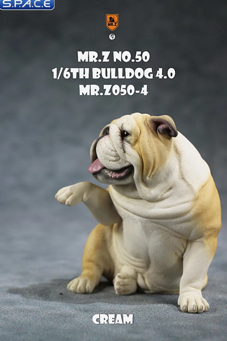 1/6 Scale Bulldog »giving a paw«
