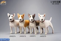 1/6 Scale Bull Terrier