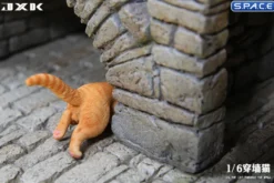 1/6 Scale Cat through the Wall