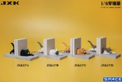 1/6 Scale Cat through the Wall