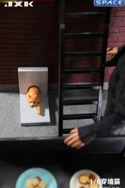 1/6 Scale Cat through the Wall