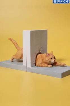 1/6 Scale Cat through the Wall