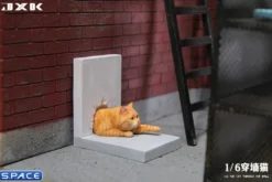 1/6 Scale Cat through the Wall