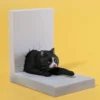1/6 Scale Cat through the Wall