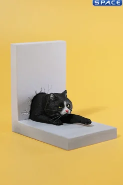 1/6 Scale Cat through the Wall