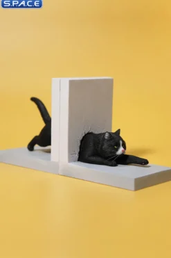1/6 Scale Cat through the Wall