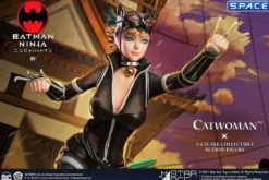1/6 Scale Catwoman