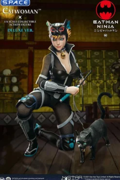 1/6 Scale Catwoman Deluxe Version