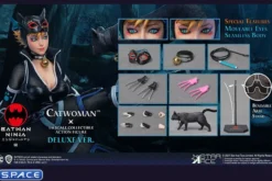 1/6 Scale Catwoman Deluxe Version