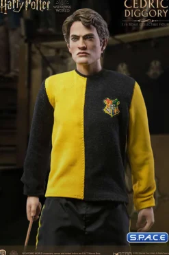 1/6 Scale Cedric Diggory