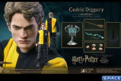 1/6 Scale Cedric Diggory