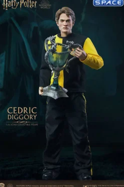 1/6 Scale Cedric Diggory Deluxe Version