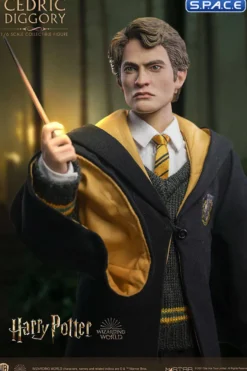 1/6 Scale Cedric Diggory Deluxe Version