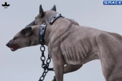 1/6 Scale Cerberus (grey)