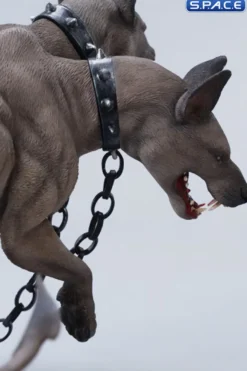 1/6 Scale Cerberus (grey)