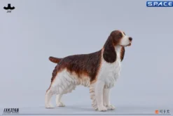 1/6 Scale Cocker Spaniel Version B