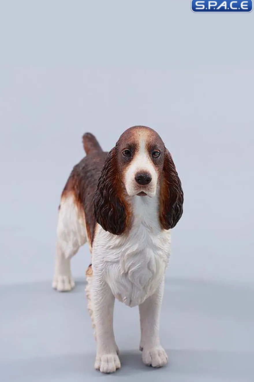 1/6 Scale Cocker Spaniel Version B