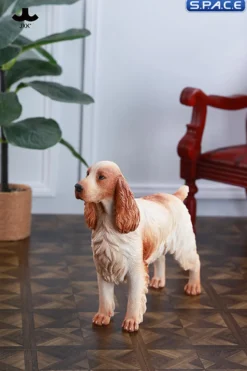1/6 Scale Cocker Spaniel Version C