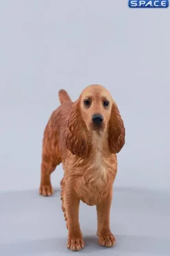 1/6 Scale Cocker Spaniel Version E