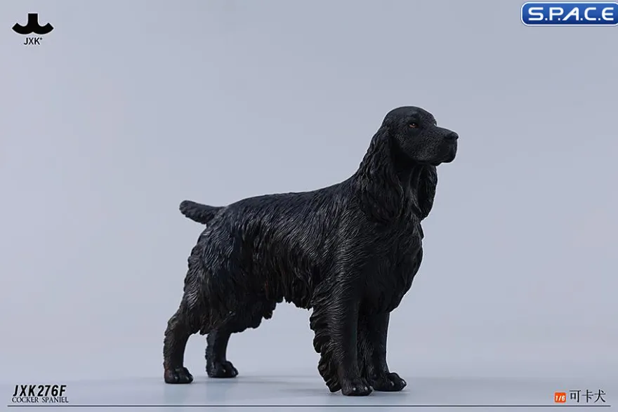 1/6 Scale Cocker Spaniel Version F
